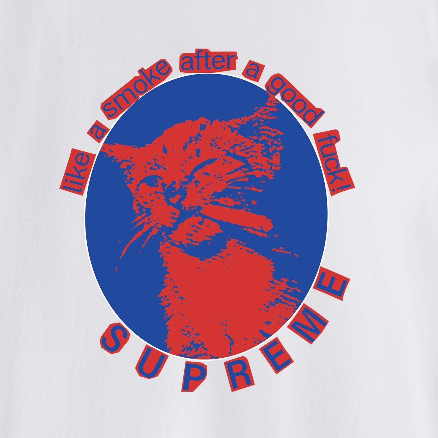 Cat Graphic Print Unisex T-Shirt THOM TREND