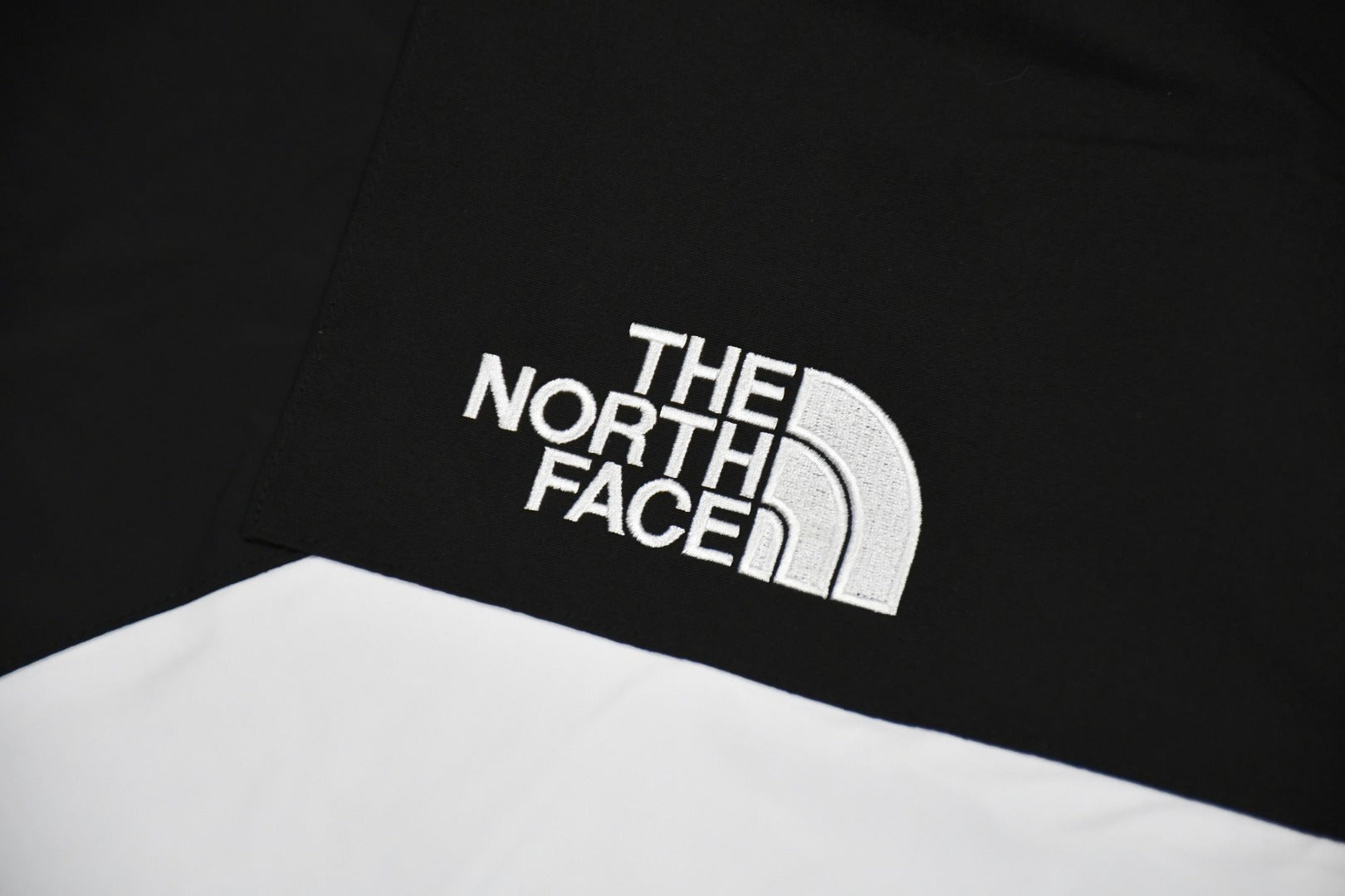 Supreme x The North Face FW20 S Logo Mountain Jacket Light Luxury Station