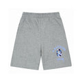 Stüssy x BAPE Camo Blue Graphic Shorts