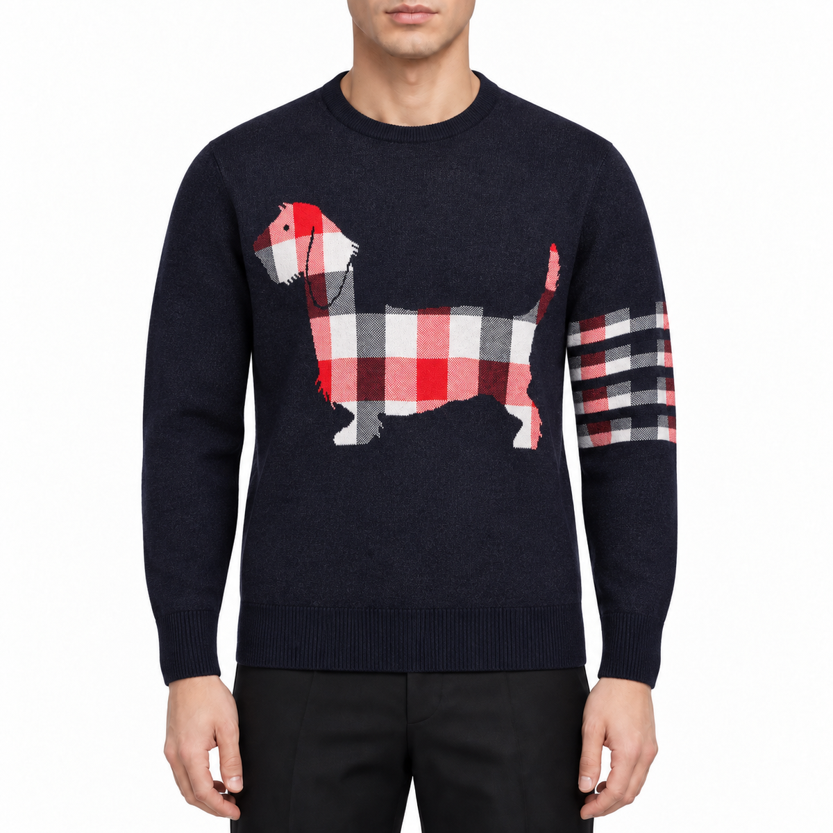 Men's Puppy Sweater by Thom Browne, modeled on a pure white background